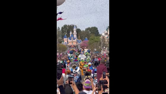 Seahawks celebrate Super Bowl win with Disnay parade in Anaheim, California, USA