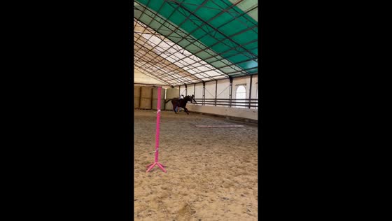 Rider falls after horse suddenly jumps in stable in Lublin, Poland