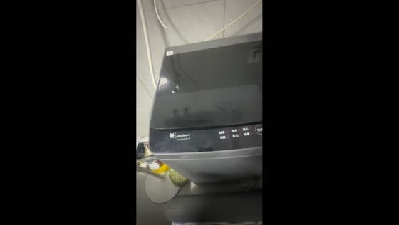 Cat swats owner's hand from inside washing machine in Hunan, China
