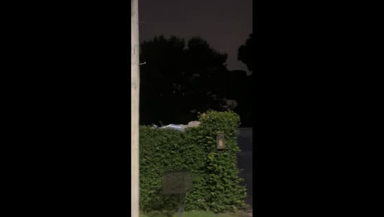 Drunk man falls asleep in unusual spot after party in Buenos Aires, Argentina