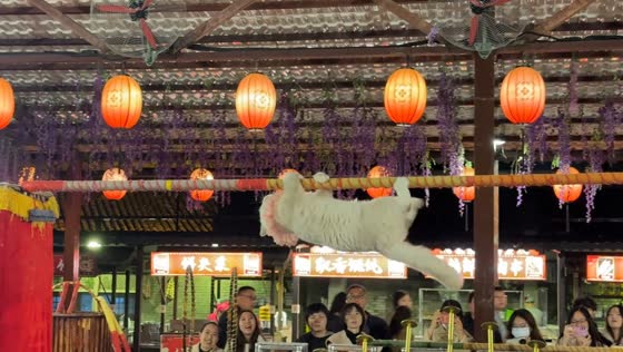 Kittens perform on horizontal pole in Sichuan, China