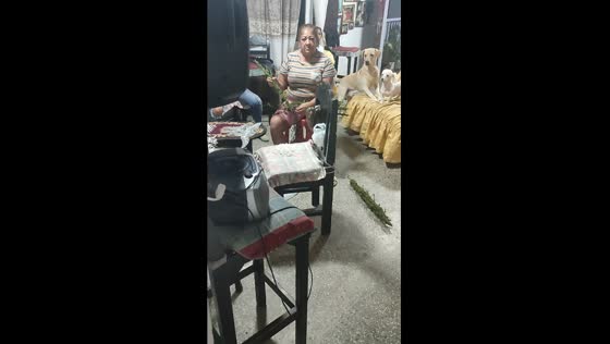 Microphone prank startles mom and dogs in hilarious video
