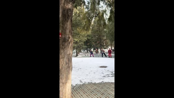 Beijing Park's astonishing ring toss mastery