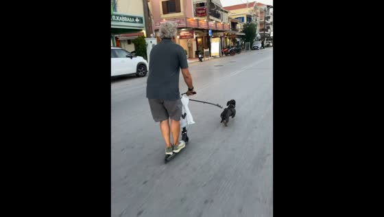 Dachshund pulls man on scooter in Lefkada, Greece