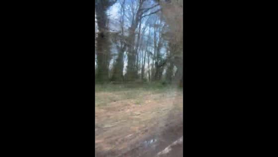 Severe storm damage on the Helston to Penzance road, Cornwall, UK