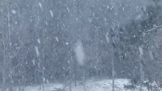 Heavy snowfall hits South West Pawlet, VT – NY border 