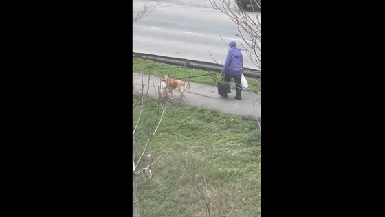 Resilience amidst adversity: heartwarming acts of kindness in the midst of conflict