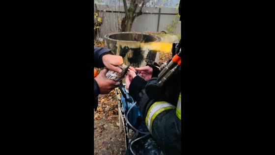 Firefighters rescue pigeons from warehouse blaze in Moscow, Russia