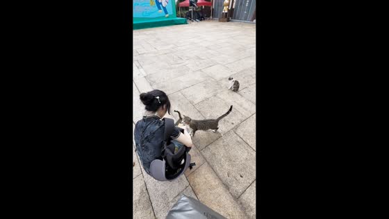 Cat swats food away when woman tries to give it in Zhejiang, China