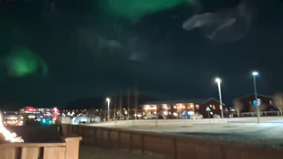Aurora borealis lights the night sky in Reykjavik, Iceland