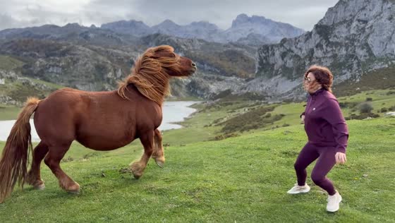 Woman startled by horse, fails to take photo in Asturias, Spain