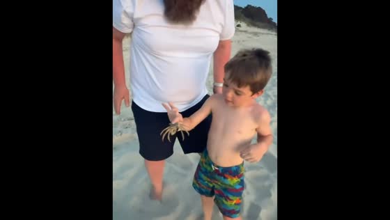Boy gets startled by crab pinch during beach moment in Chesapeake Bay, Virginia, USA