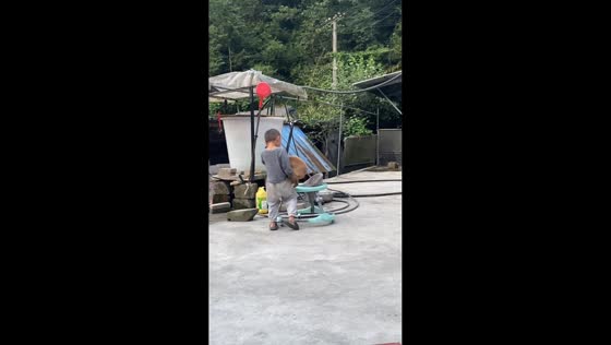 Boy playfully pushes dog around in baby walker in Guizhou, China