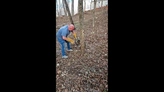 Man bitten by raccoon while trying to place it in trap in Springville, Alabama, USA