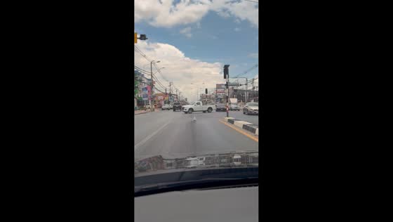 Duck blocks road and evades attempts to move it in Thailand