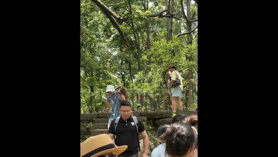 Monkey climbs on tourist and causes panic at Qianling Mountain in Guizhou, China