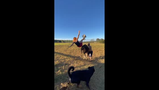 Woman falls as cow runs away after playful dog bite in Goiás, Brazil