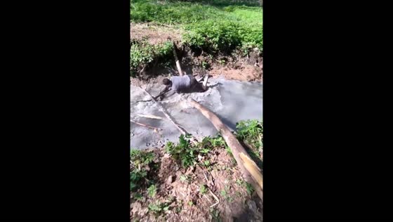Friend falls into stream while crossing on log in Moscow