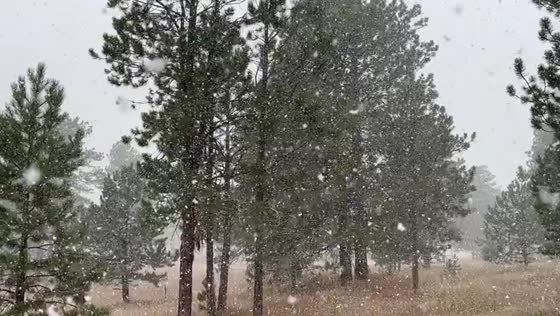 Snow showers in Evergreen, Colorado