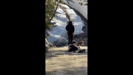 Excited runner collides with woman, both fall into muddy water in Qareli, Georgia