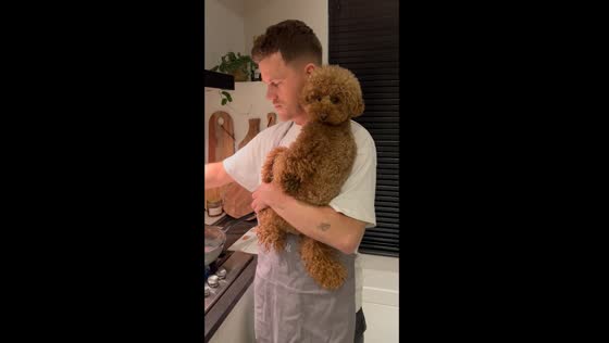 Multi-tasking mastery: cooking with a pawsome companion in Mierlo, Netherlands