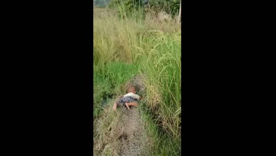 Resilient toddler: Jafin's determination shines in rice field tumble
