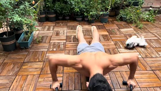 Puppy trips and rolls over during owner's push-up routine in Hebei, China
