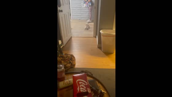 Three-legged cat dashes back inside after startling moment during fetch game