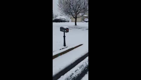 Steady snowfall covers streets and homes during winter storm in New Jersey, USA