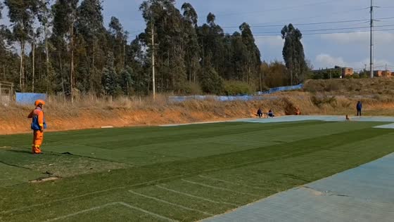 Dog knocks trainer over during training in Fujian, China