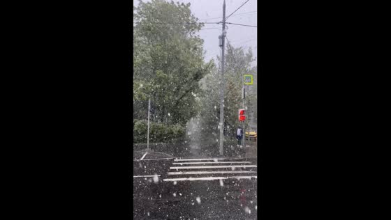 Unusual May snowfall hits Moscow, yellow weather alert issued