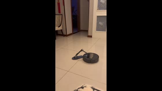 Sweeping robot stuck with a slipper in Henan, China