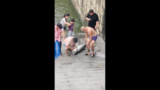 Fisherman reels in enormous catch from river in Fujian, China