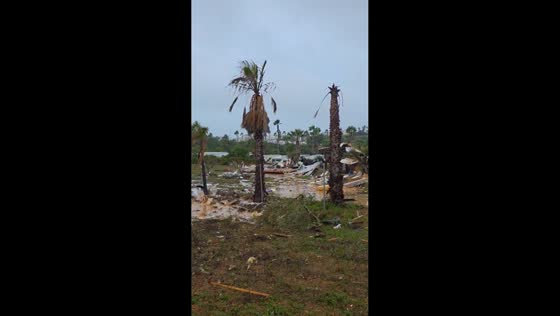 Storm damage leaves homes and trees devastated in Albufeira, Portugal
