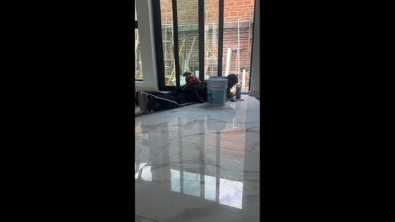 Dog climbs onto construction worker's back in Guadalajara, Mexico