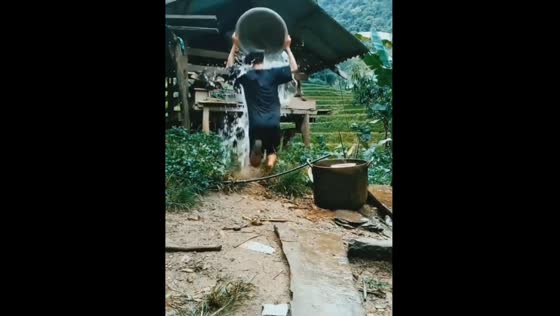 Cow’s funny reaction after man slips with basin in Indonesia