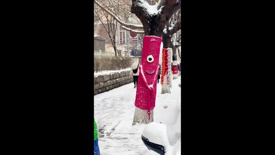 Trees wearing colorful knitted sweaters in Jilin, China