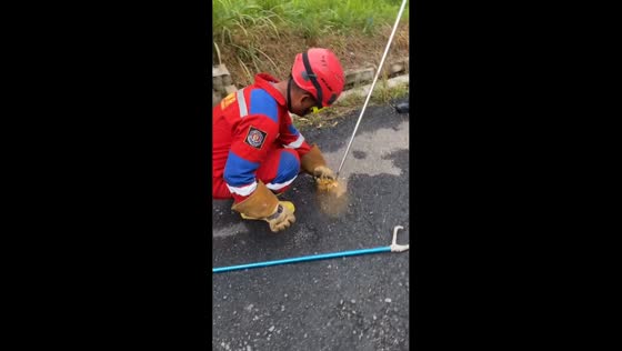 Man catches cobra after provoking it from pipe in Lampung, Indonesia