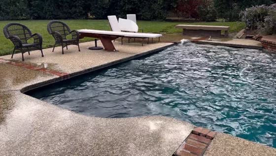 Earthquake causes visible waves in the pool in California, USA