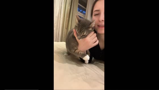 Playful cat shenanigans: a bite for a bite in Tashkent