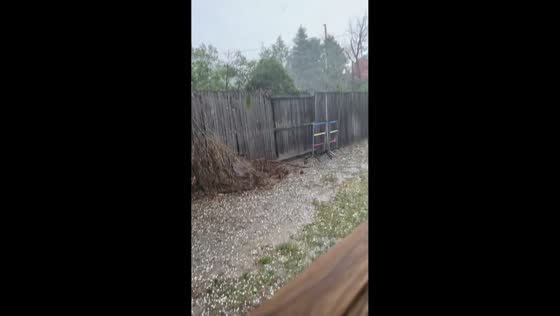 Severe hailstorm blankets yard in Arvada, Colorado, USA
