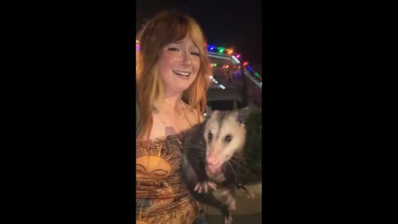 Woman safely relocates opossum from busy road in Woodstock, USA