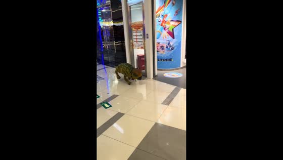 Energetic robotic dinosaur toy entertains in Shanghai, China