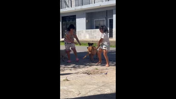 Girls carry dog on hind legs after it escapes in Buenos Aires, Argentina