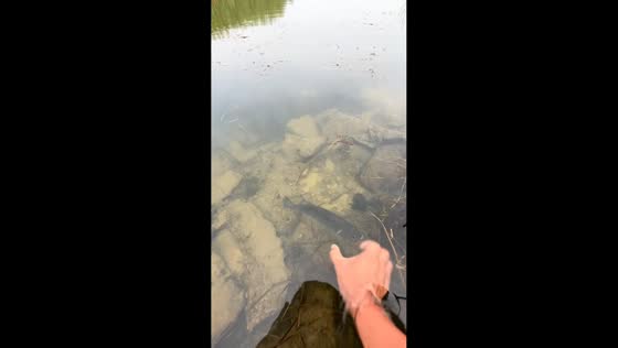 Man hilariously fails to catch fish with bare hands in Anhui, China