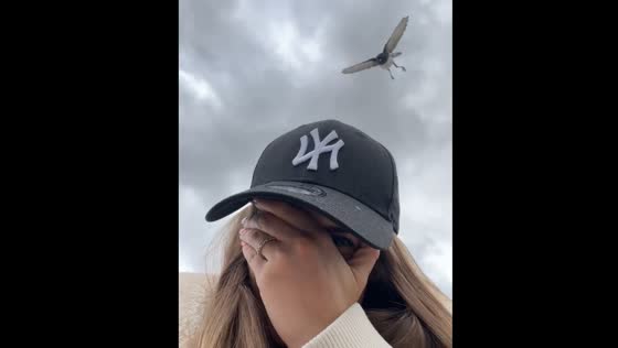 Bird attacks passerby in Perth, Australia