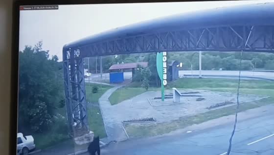 Man climbs arch to avoid approaching bear in Khabarovsk, Russia