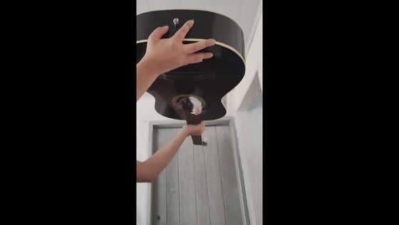 Guitar intruder: Andradas cat's bold escape caught on camera