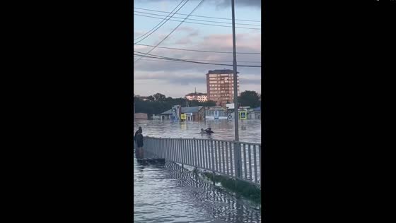 Ussuriysk flood brawl: two residents fight for unknown reasons in floodwaters