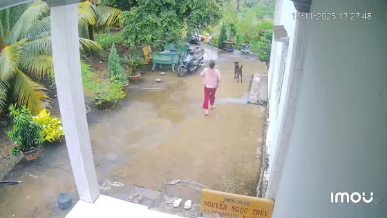 Rider falls into gutter as scooter slips on wet algae in Gò Công, Vietnam
